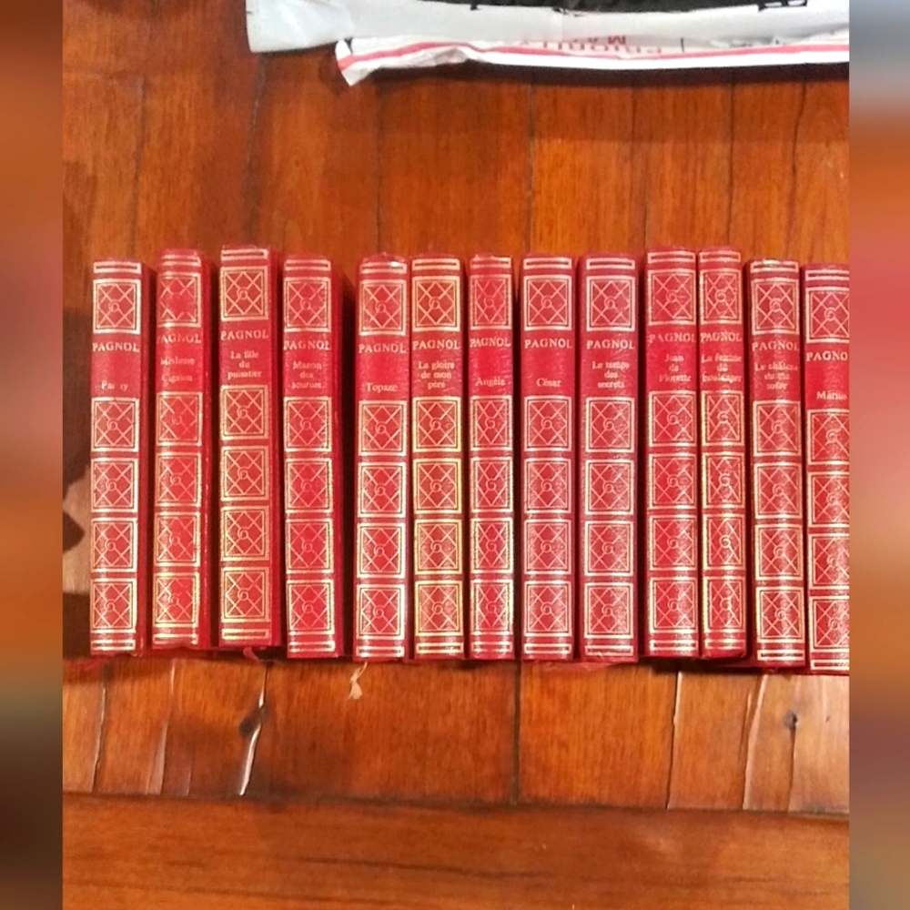 Leather bound books VTG 13 volumes FRENCH